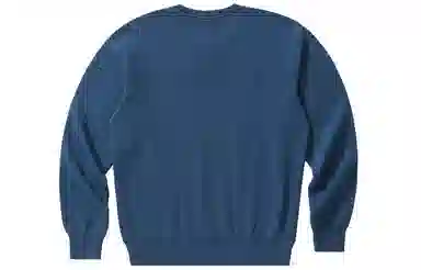 Champion Rochester Logo