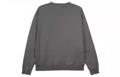 PJ's Vigor logo