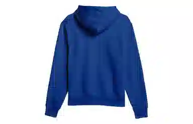 adidas originals x PW Basics Hood