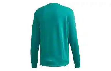 adidas originals Hoody Sweatshirt