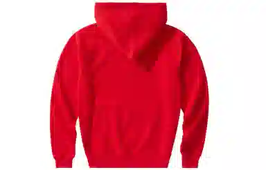 Champion Men's Life C