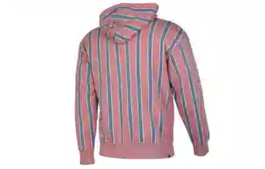 Puma Downtown PO Graphic Hoody