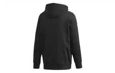 adidas originals Wntrzd Hoodie