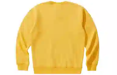 Champion Rochester Logo