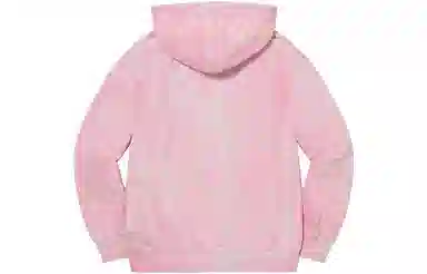 Supreme Brush Stroke Hooded Sweatshirt