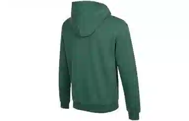 Jordan Essentials Statement Hoodie Noble Green