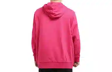 adidas originals Wntrzd Hoodle