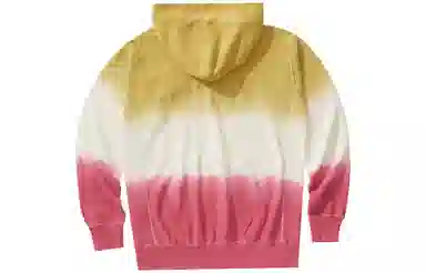 Champion Reverse Weave