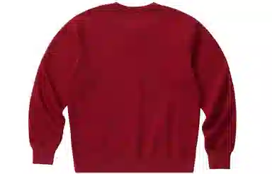 Champion Rochester Logo