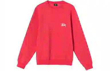 Stussy Logo