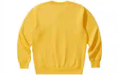 Champion Rochester Logo