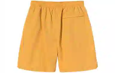 Stussy Logo Nylon Shorts