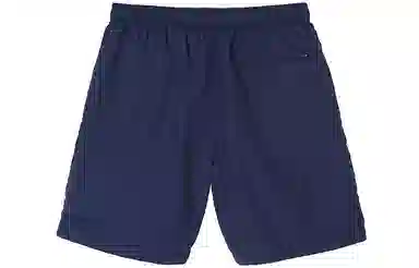 Stussy Stock Water Short Logo