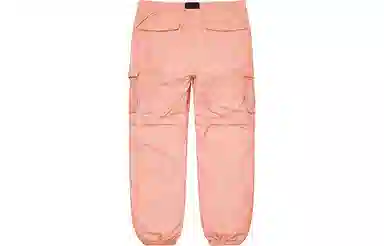 Supreme SS21 Week 16 Mesh Pocket Belted Cargo Pant