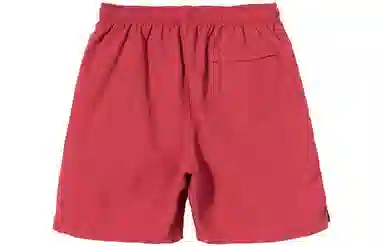 Stussy Logo Nylon Shorts