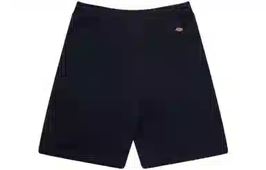 Dickies SS22 Navy Shorts