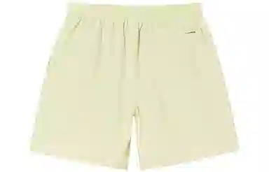 Stussy SS22 Logo Curly S Water Short