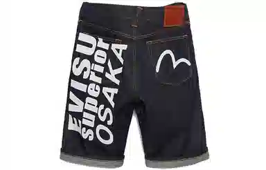 EVISU m