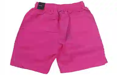 Jordan Woven Shorts Purple