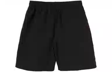 Stussy Logo Nylon Shorts