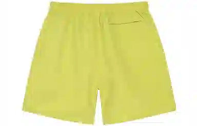 Stussy Stock Water Short Logo