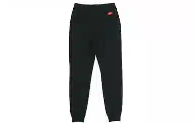 Dickies FW21 Logo