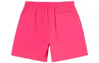 Stussy SS22 Logo Curly S Water Short