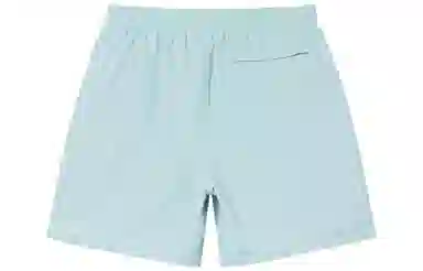 Stussy SS22 Logo Curly S Water Short