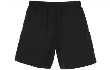 Stussy Stock Water Short Logo