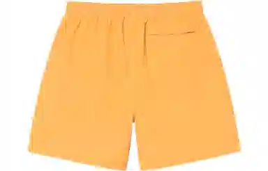 Stussy SS22 Logo Curly S Water Short