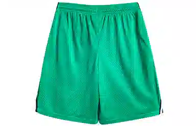 Champion Mesh Shorts Green