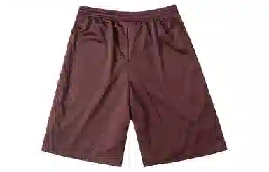 Champion Mesh Shorts Burgundy