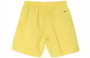 Stussy Stock Water Short Logo