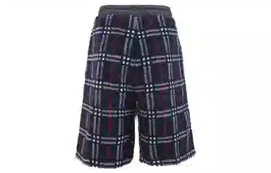 Burberry SS21 Navy Shorts