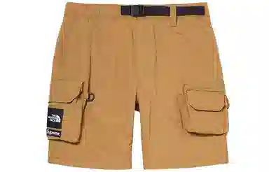 Supreme x The North Face