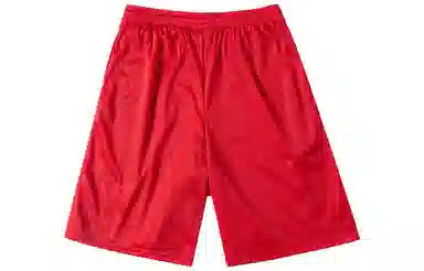 Champion Mesh Shorts Red