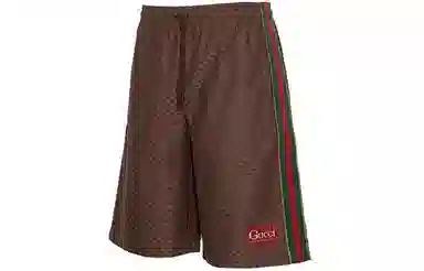 Gucci SS21 Silk Shorts Brown