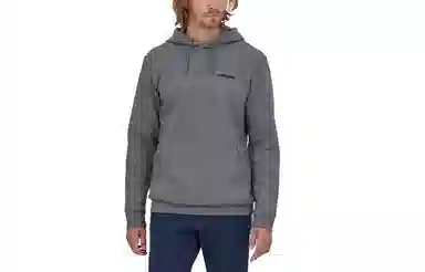 Patagonia Fitz Roy Logo Hoodie