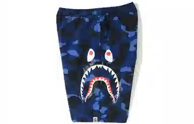 A BATHING APE Color Camo