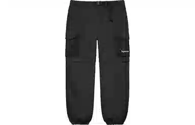Supreme SS21 Week 16 Mesh Pocket Belted Cargo Pant