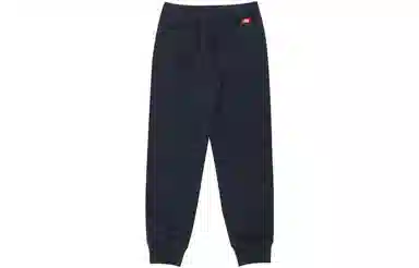 Dickies FW21 Logo
