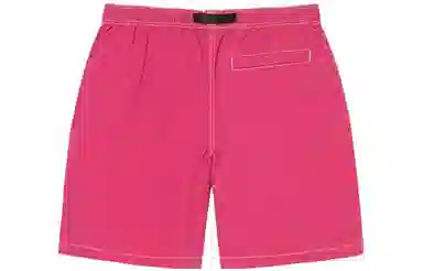 Stussy Shorts