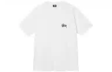 Stussy SS22 LogoT
