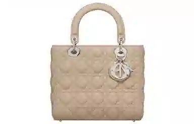 DIOR Lady Dior