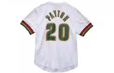 Mitchell Ness T 20