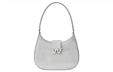 Alexander Wang W Legacy Silver