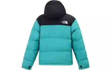 THE NORTH FACE 1996 Retro Nuptse 700
