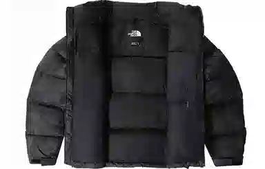 THE NORTH FACE 1996 Retro Nupts 700
