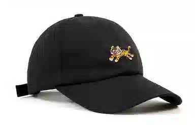 BAIJUAN Tiger Embroidered Cap