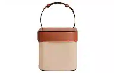 CELINE Triomphe Box Beige Brown